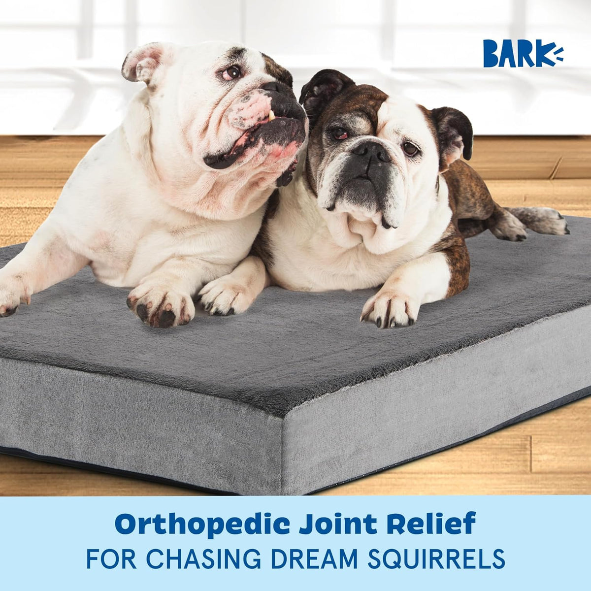 Barkbox Orthopedic Dog Bed with Memory Foam, Premium Comfort for Dogs and Puppies, Dog Bed for