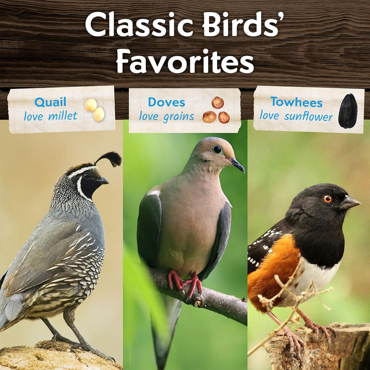 Morning Song Dove & Ground Feeding Wild Bird Seed -12 lb. Dove, Quail & Pigeon Wild Bird Food for
