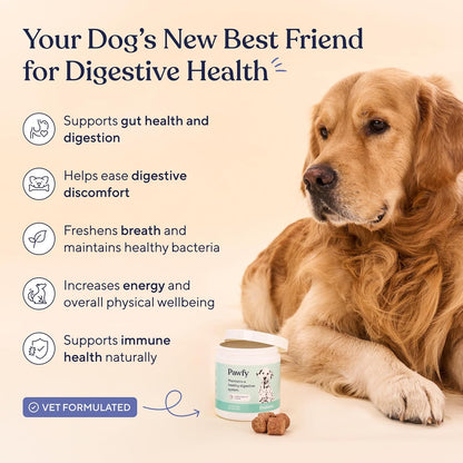Pawfy Probiotics for Dogs | Supports Digestive Health, Diarrhea for Small and Large Dogs | Improves