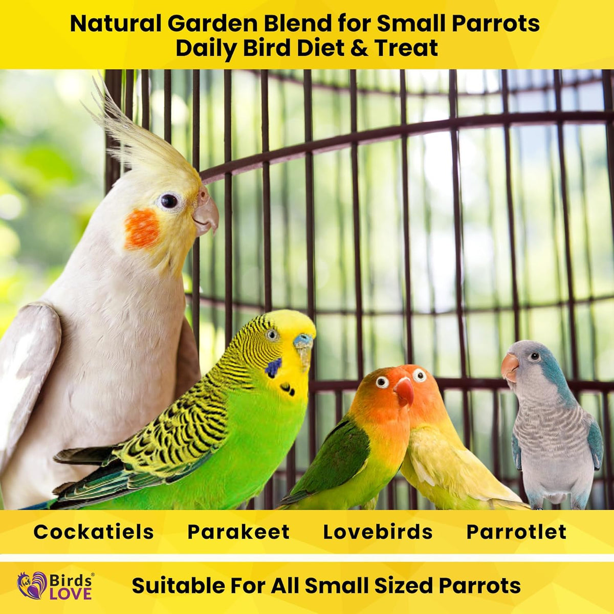 Birds LOVE All Natural Garden Blend Bird Food for Small Birds - Lovebirds, Cockatiels, Parakeets