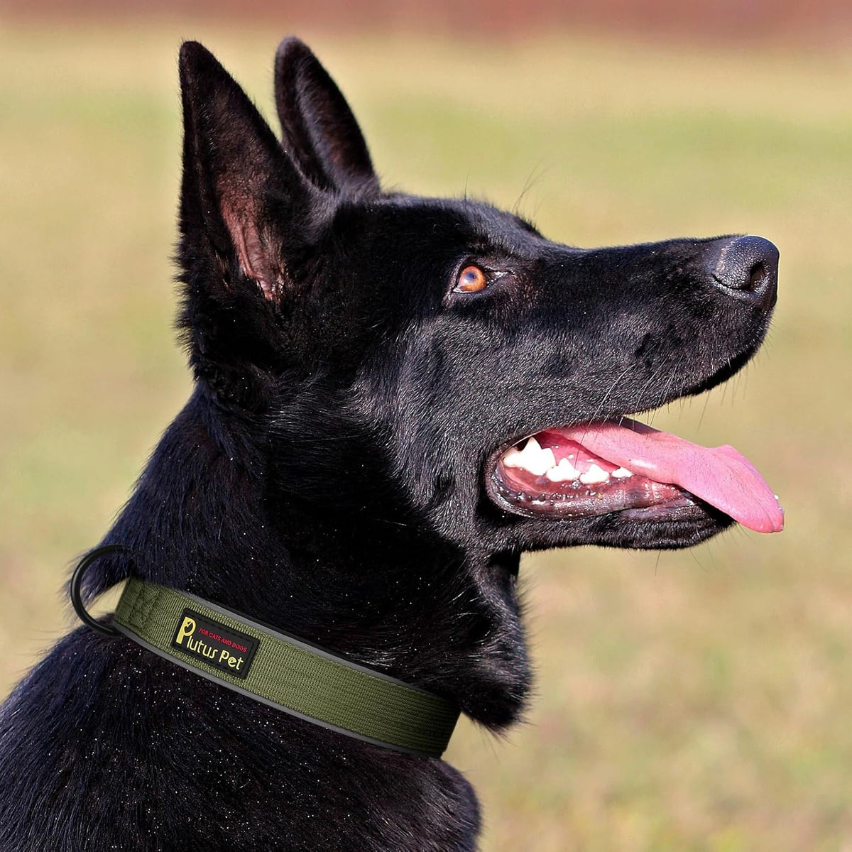 Plutus Pet Tactical Dog Collar, Reflective, Adjustable Heavy Duty Dog Collar, Soft Padded and