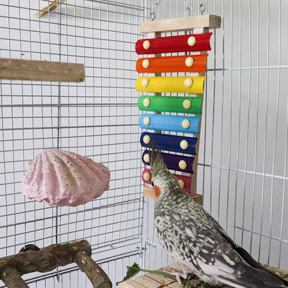 Colorful Bird Xylophone Toy, Suspensible Funny Xylophone Toy with 8 Metal Keys, Bird Cage Toy
