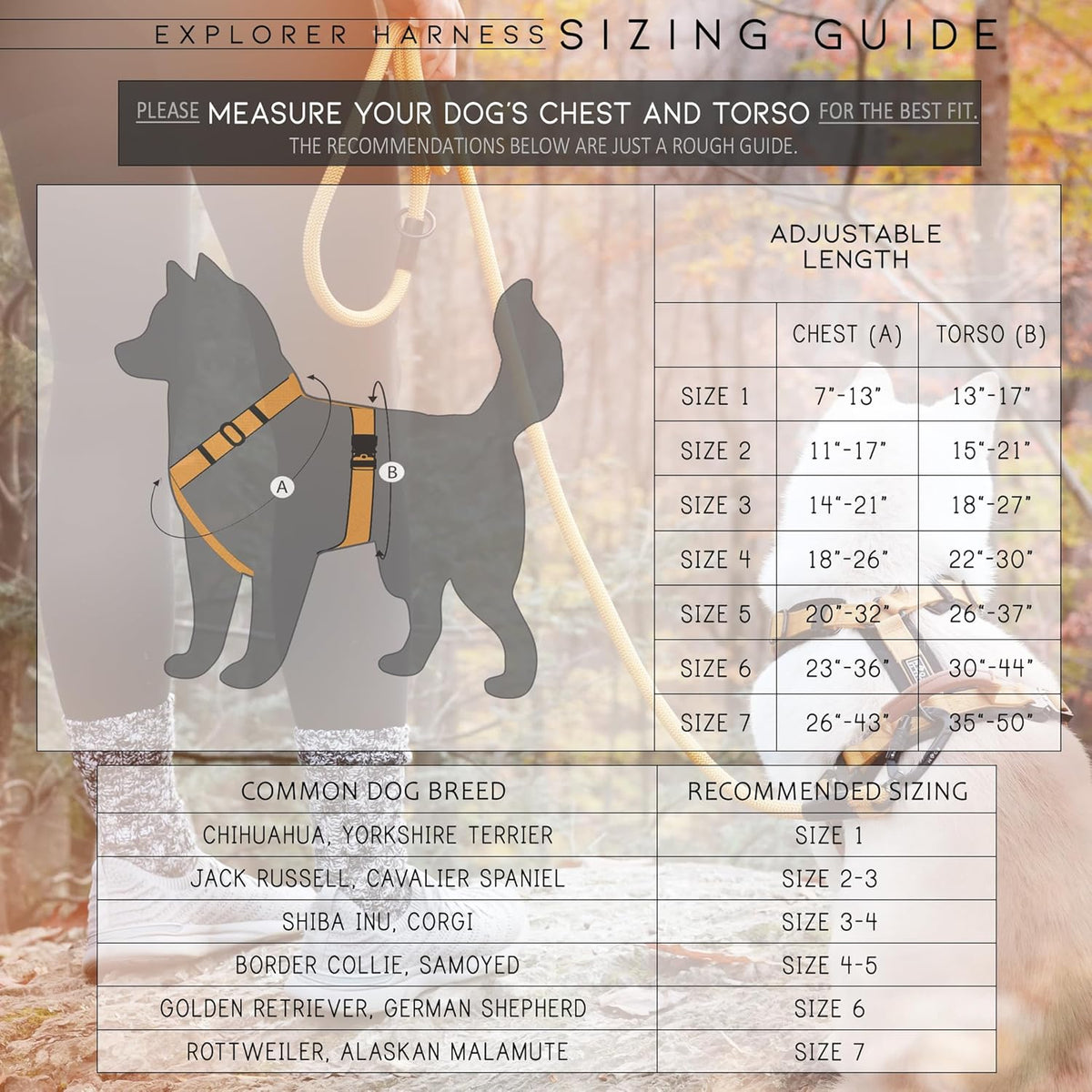 MADE TO ROAM Premium Explorer Harness - Y-Shaped Dog Harness with Adjustable Durable Nylon, Soft