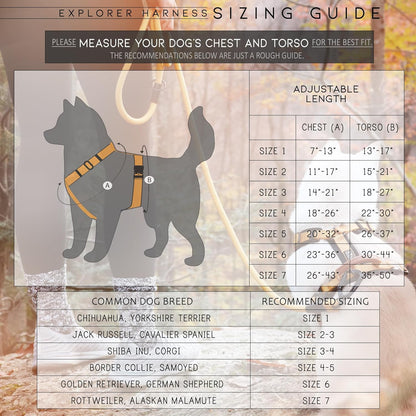MADE TO ROAM Premium Explorer Harness - Y-Shaped Dog Harness with Adjustable Durable Nylon, Soft