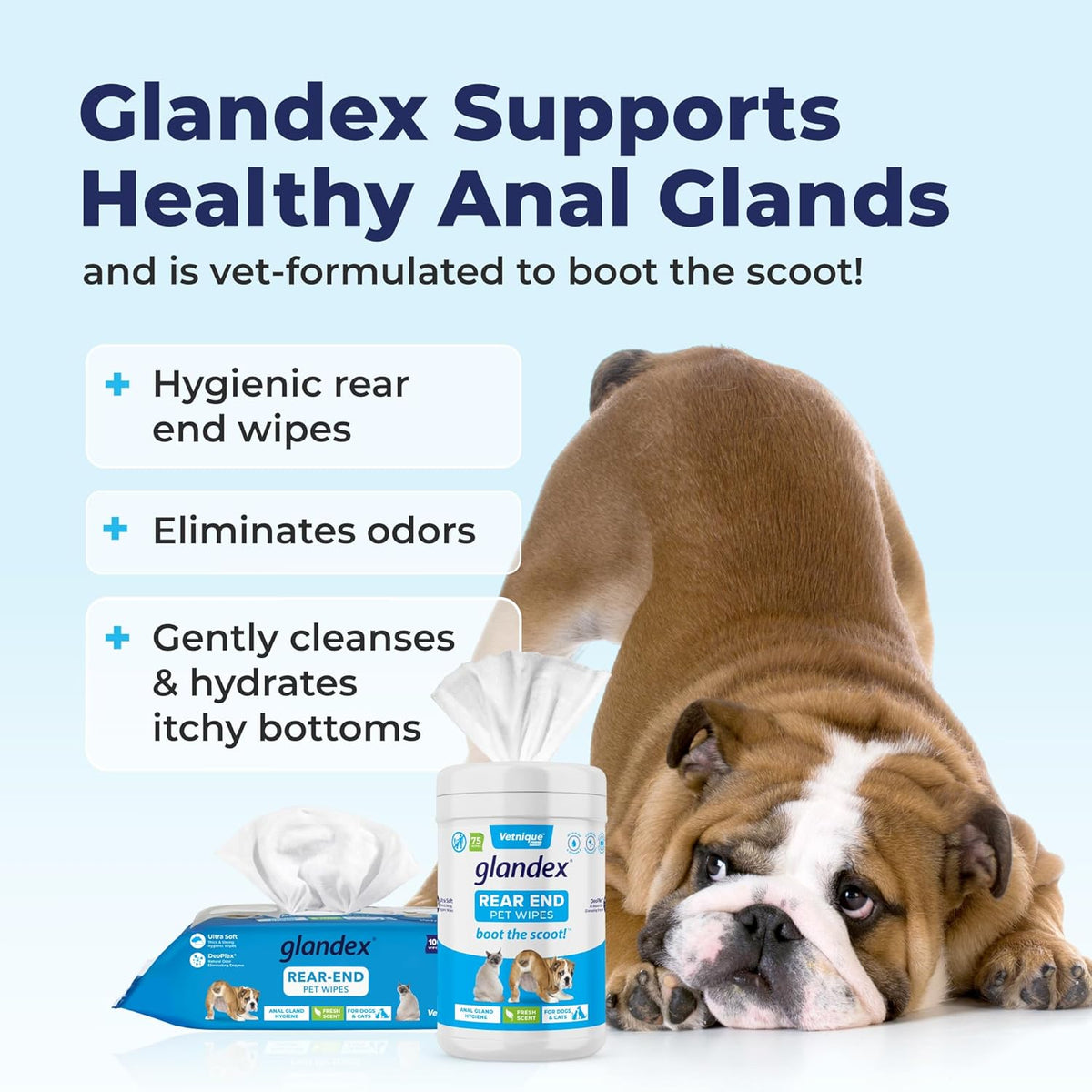 Vetnique Labs Glandex Dog Wipes for Pets Cleansing & Deodorizing Anal Gland Hygienic Dog & Cat