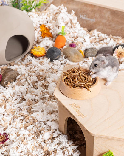 Niteangel Small Animal Snack & Treats - Small Critter Natural Treat for Dwarf Syrian Hamsters