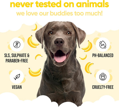 Banana Dog Shampoo by Buddycare | Deep Cleansing Shampoo for Dogs | Banana Scented | with Aloe Vera