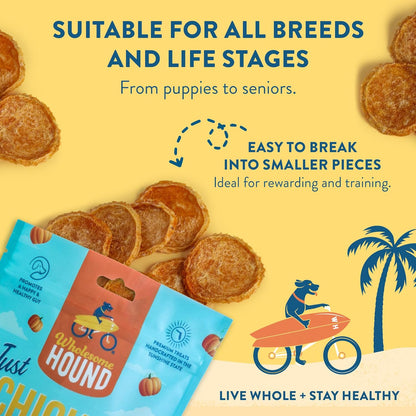 Chicken & Pumpkin Chips – Single Ingredient Dog Treats, All Natural & Healthy Training Snacks for