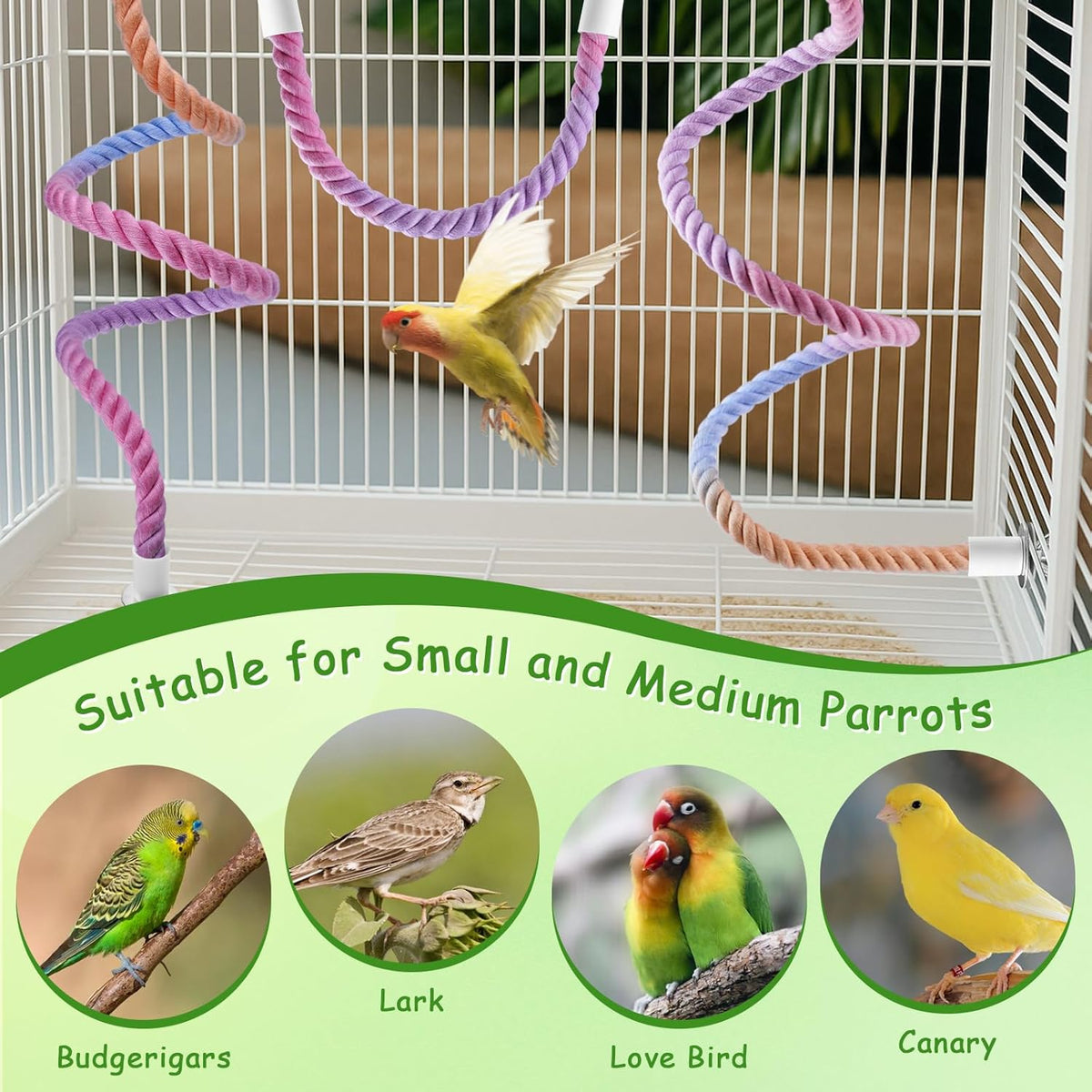 3 Pcs Bird Rope Perches Gradient Color, Bendable Parrot Bird Perch Rope Stand for Cage, Stand