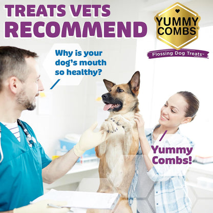 Dog Dental Treats – Vet VOHC Approved, Removes Tartar & Cleans Teeth – Yummy High Protein Chicken