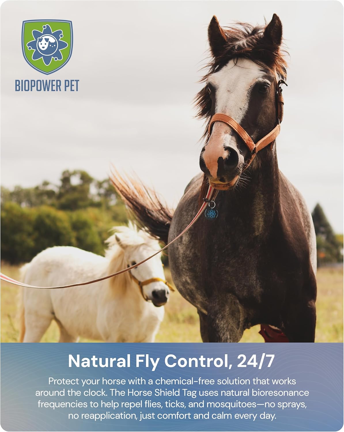 BioPower Natural Fly & Tick Repellent for Horses - Horse Shield Tag with 1-Year Bioresonance
