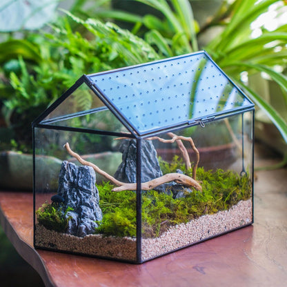 NCYP House Shape Glass Terrarium with Acrylic Lid - 10.2x5.9x8.2 Inches Large Geometric Box for