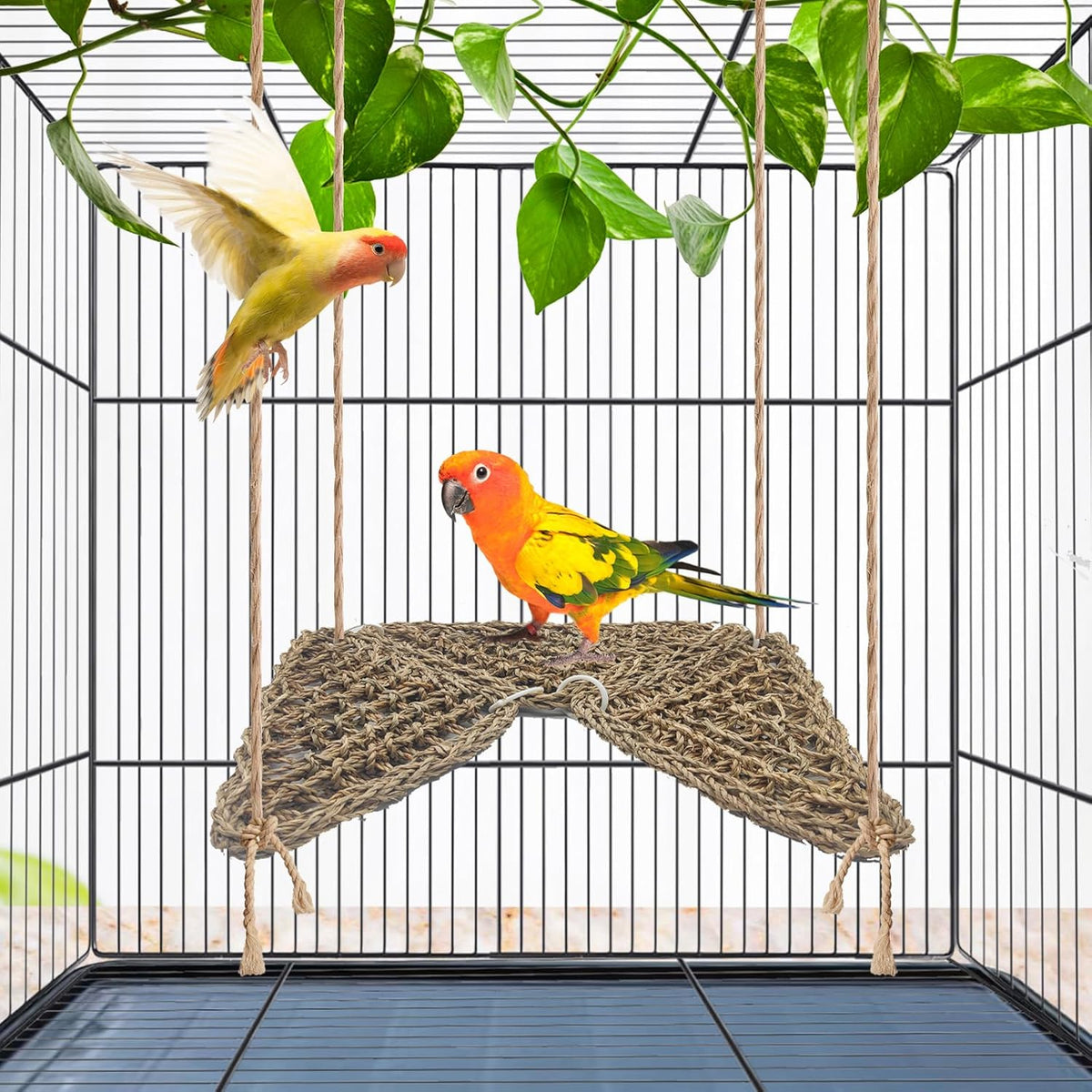 BNOSDM Bird Seagrass Mat, 3 PCS 7.1 x 7.1 Inches Parrot Natural Seagrass Woven Bird Net Hammock