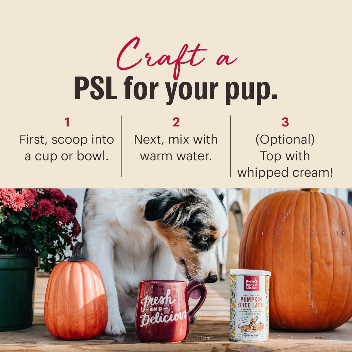 The Honest Kitchen Pumpkin Spice Latte, 4oz Canister