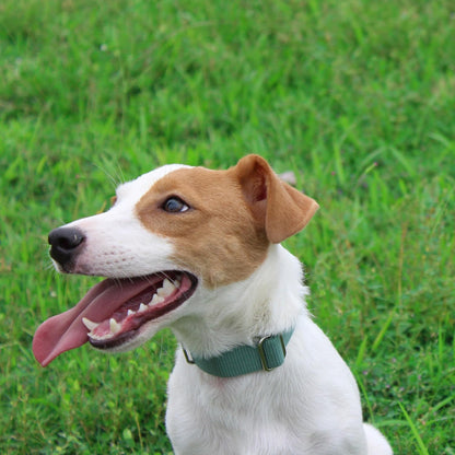 Mikivery Nylon Dog Collar with Quick Release Buckle Soft Adjustable Sturdy for Small Medium Large
