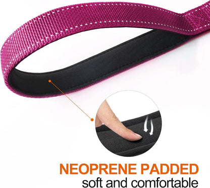 TwoEar 5FT 1IN Strong Rose Dog Leash with 2 Padded Handles, Traffic Handle Extra Control