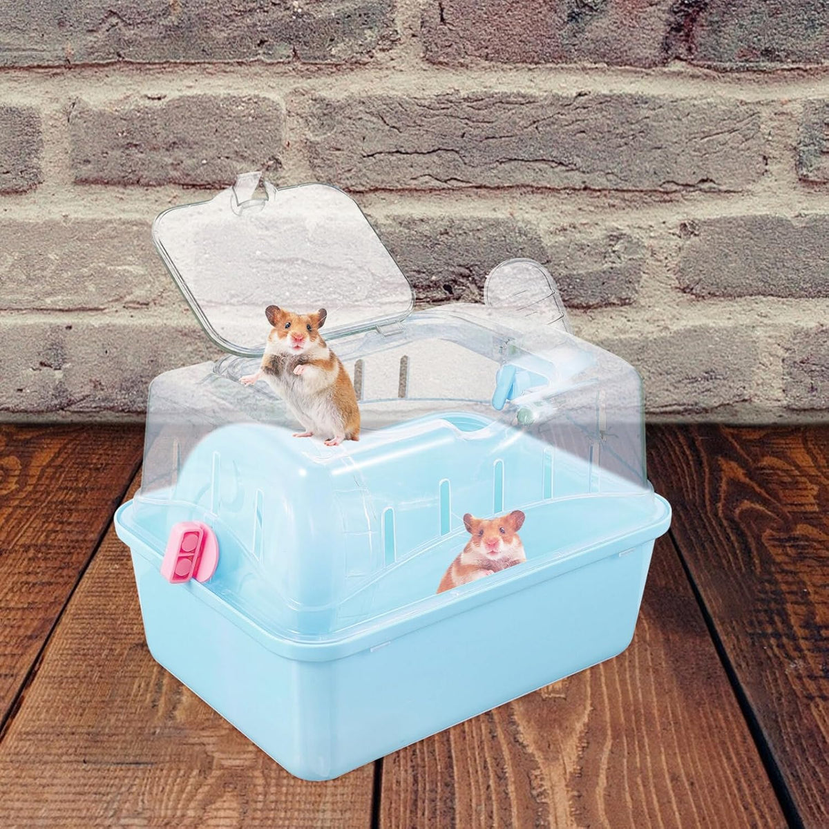 Hamster Cage - Small Pet Carrying Container, Clear Stand, Outdoor Travel House, Fully Transparent