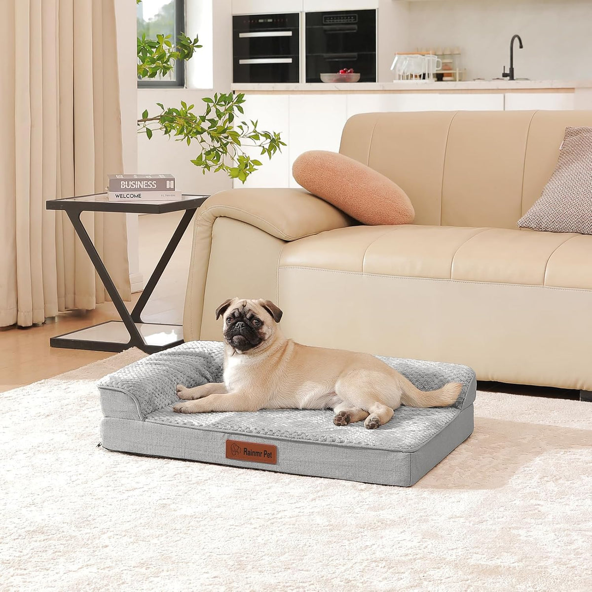 Orthopedic Dog Bed, 3 Inch Memory Foam Dog Beds for Medium Dogs, Washable Removable Cover, Nonskid