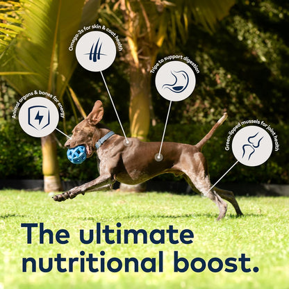 ZIWI Peak Air-Dried Dog Food – Lamb - All Natural, High Protein, Grain Free, Limited Ingredient w/