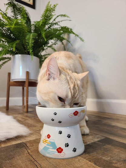 Necoichi Raised Stress Free Cat Food Bowl, Elevated, Backflow Prevention, Dishwasher and Microwave