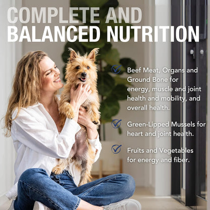 K9 Natural Wet Dog Food Pate, Beef Feast, 6 Oz Cans (Pack of 12), Grain Free, Made in New Zealand
