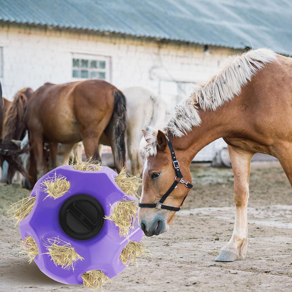 15.75" Hay Ball for Horse with Hanging Strap Slow Feed Horse Treat Ball Extra Large Hanging for