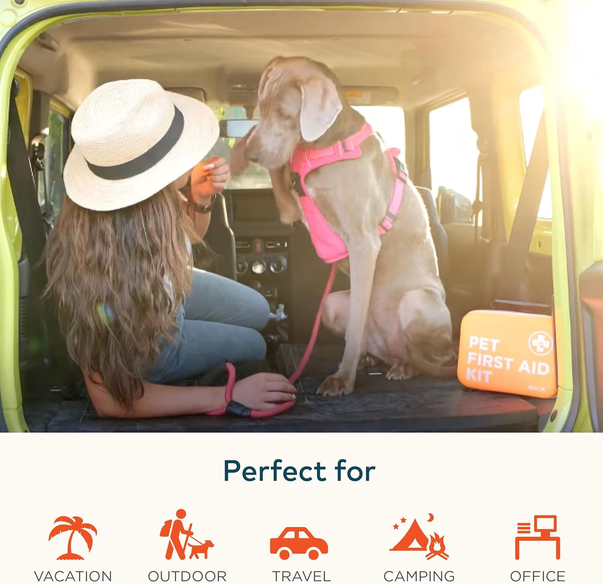 Cat & Dog First Aid Kit for Car - Pet Emergency Kit for Home Office Travel – Dog Camping Essentials