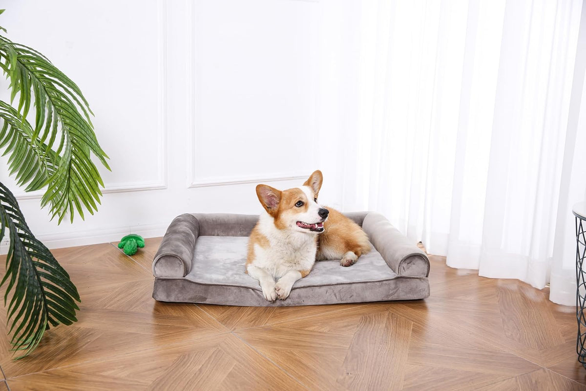 Amazon Basics Dog Bed with Cooling Gel Memory Foam, Pressure-Relief Support for Dogs up to 55lbs