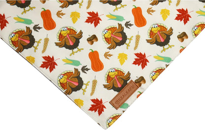 Realeaf Thanksgiving Dog Bandanas 2 Pack,Turkey Pumpkins Fall Stripe Pet Scarf for Boy and Girl