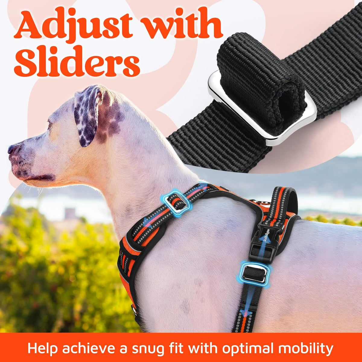 rabbitgoo Dog Harness Small Sized, No Pull Dog Vest with 3 Buckles, Adjustable Soft Padded Pet