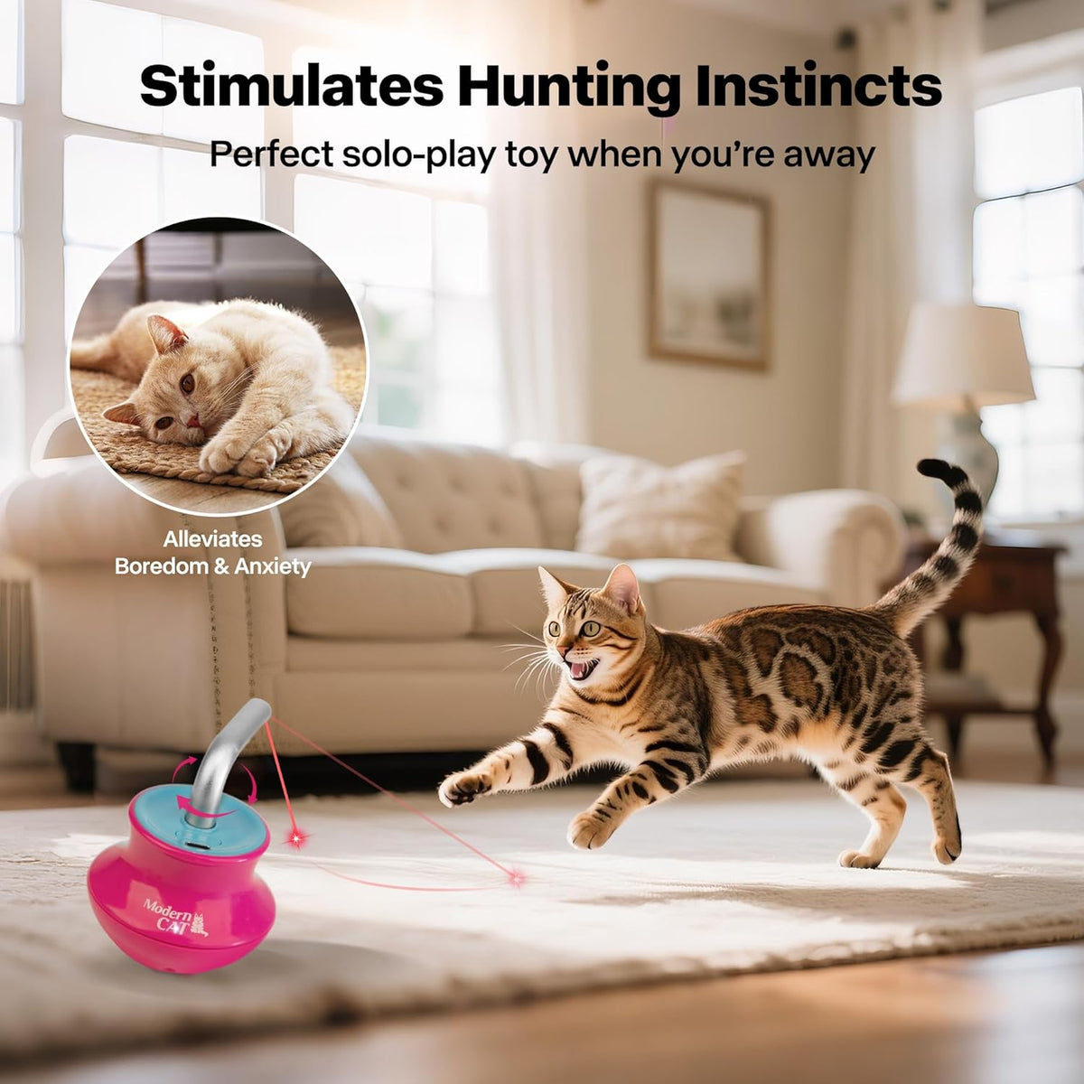 Cat Laser Pointer Toy for Bored Indoor Cats, Automatic Interactive Cat Toy, 360° Laser Rotation