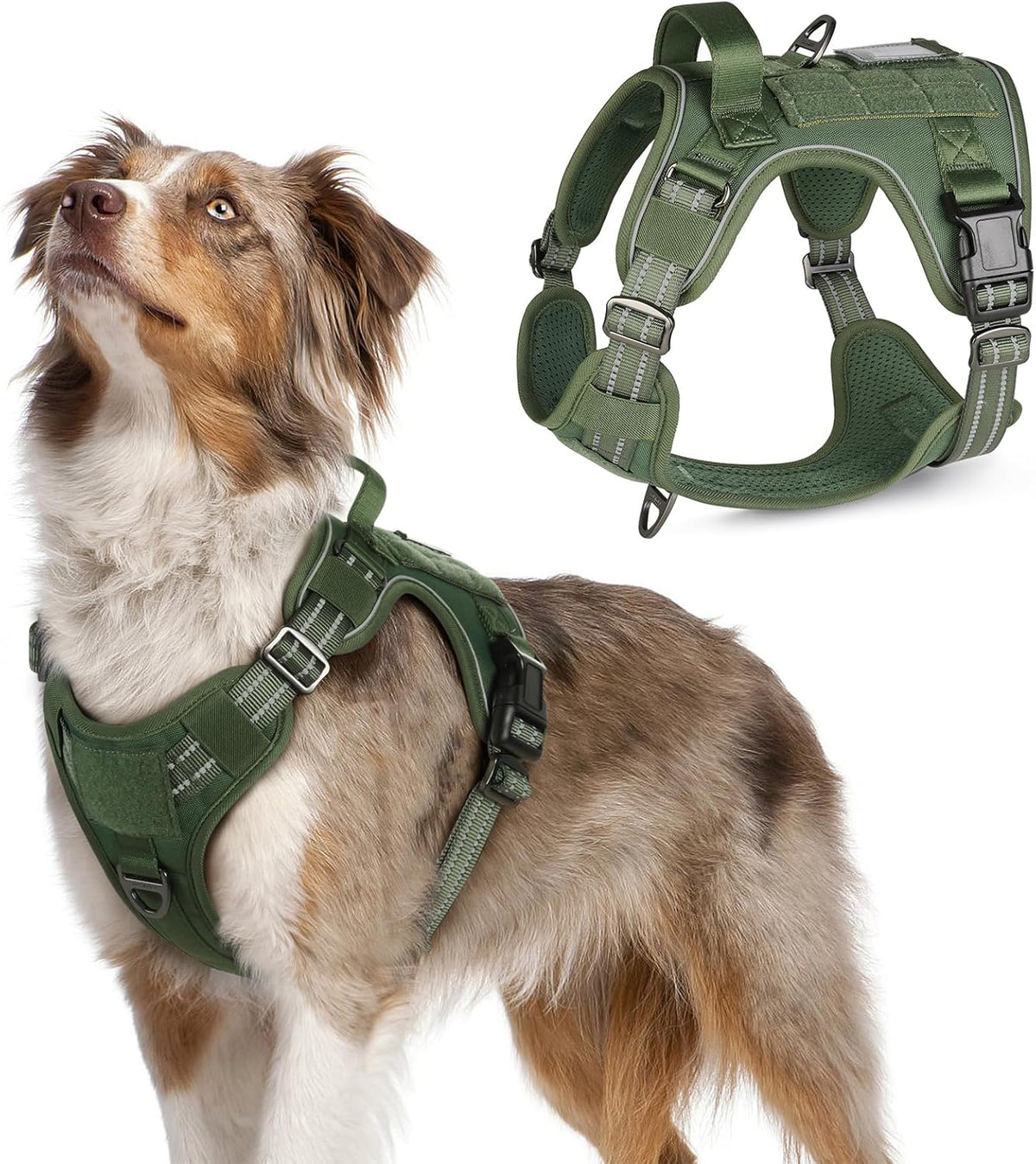 rabbitgoo Tactical Dog Harness Medium Sized Dog, No Pull Military Service Vest with Handle & Molle