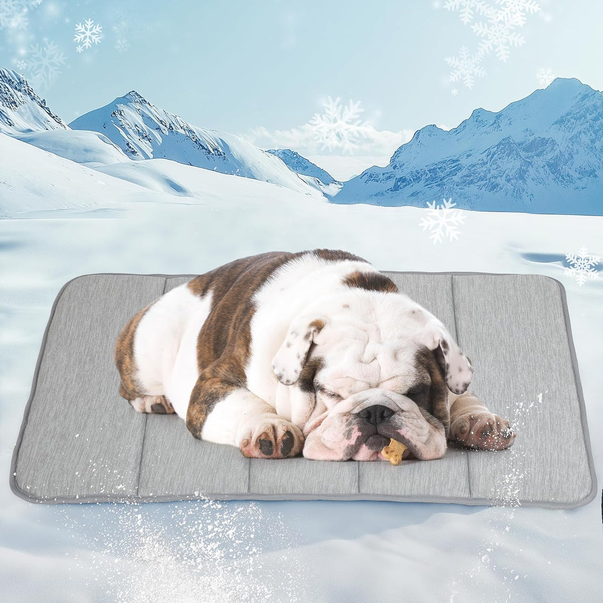 Dog Cooling Mat for Medium Dogs - 30x20 Orthopedic Memory Foam Pet Pad for Summer, QMAX>0.5