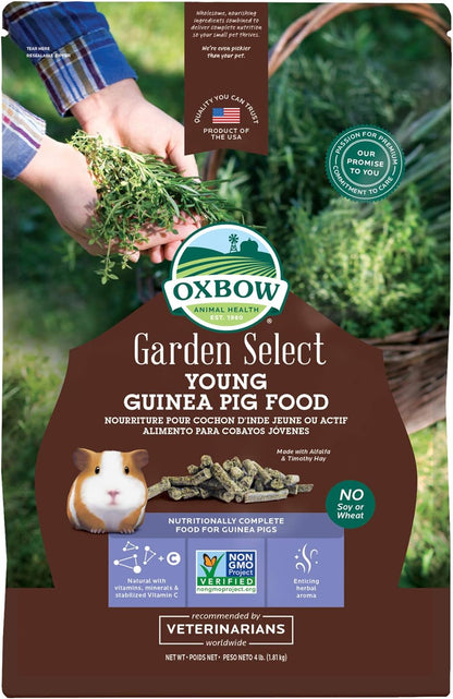 Oxbow Garden Select Guinea Pig Food, Young, Made Alfalfa for Guinea Pig, Pet Food Pellets with