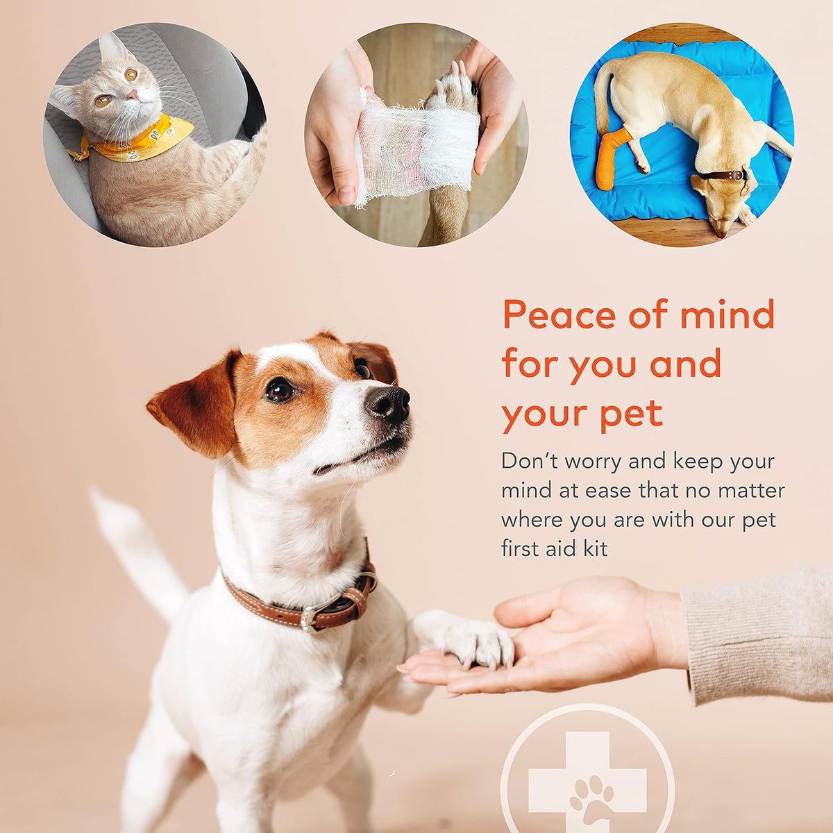 Dog First Aid Kit - Pet Emergency Kit - Water Resistant High Visibility Reflective First Aid Pouch