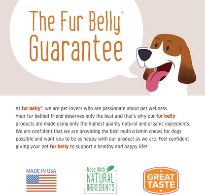 Dog Multivitamin - Dog Vitamins and Supplements - Digestive Enzymes & Probiotics - Probiotics for