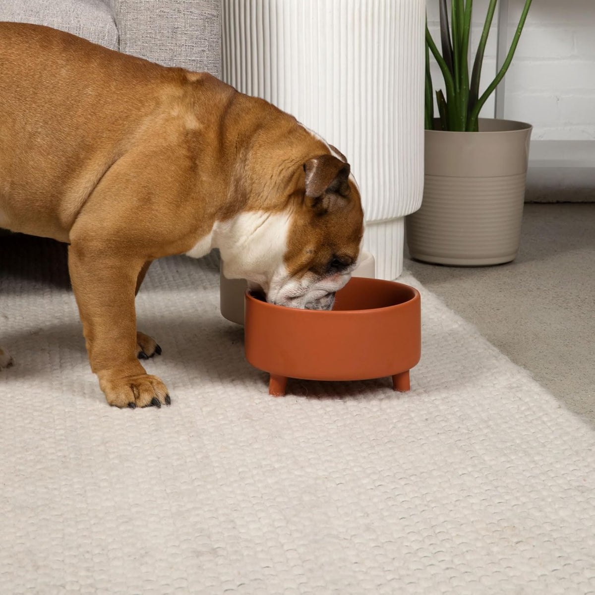 Waggo Uplift Ceramic Dog Bowl for Small Medium and Large Breeds - Heavyweight and Durable Pet Food