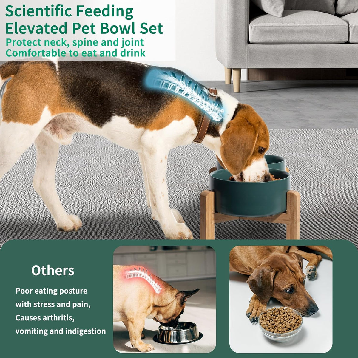 Elevated Ceramic Dog Bowl Set - Raised Dog Bowls with Non-Slip Bamboo Stand - Dog Food and Water