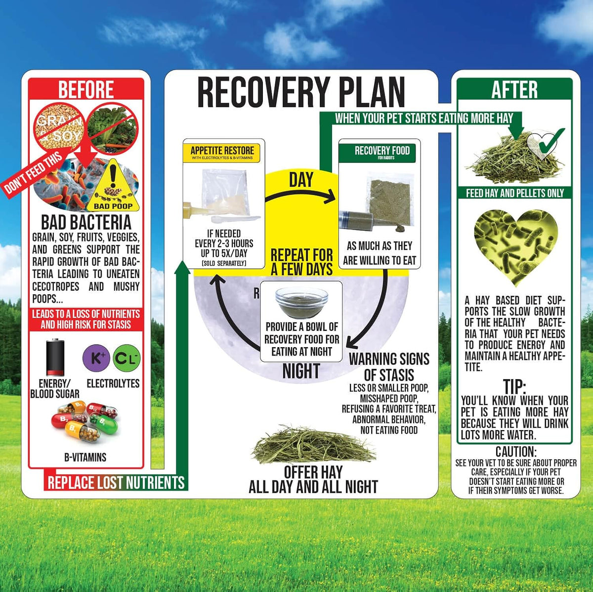 Sherwood Pet Health Guinea Pig Emergency Kit (Small) with Timothy Recovery Food and Appetite