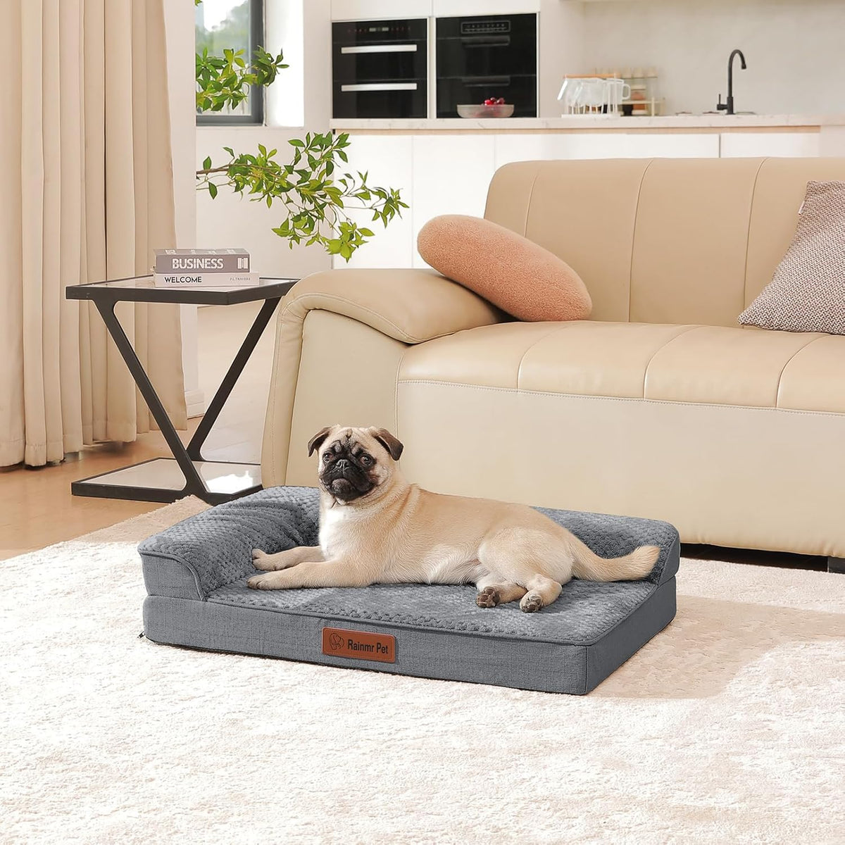 Orthopedic Dog Bed, 3 Inch Memory Foam Dog Beds for Medium Dogs, Washable Removable Cover, Nonskid