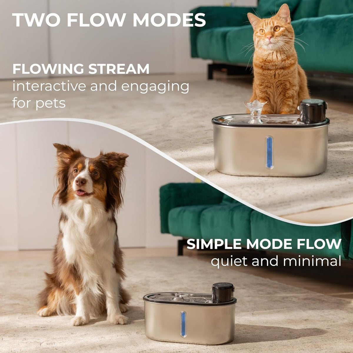 Wireless Cat Water Fountain Stainless Steel, 5200mAh Battery, Ultra Quiet, Automatic Pet Water