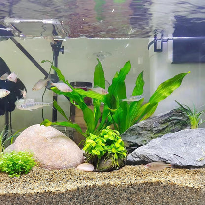 20 lbs Aquarium Sand, 0.6-1.2 mm Aquarium Substrate for Freshwater Fish Tank. Decorative River