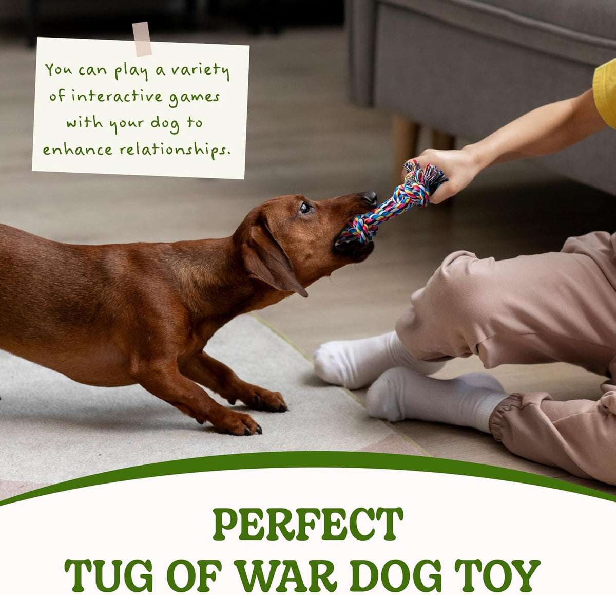 2 Pack Dog Rope Toy for Small Dogs, Puppy Teething Toys, Durable Cotton Puppy Chew Toys for