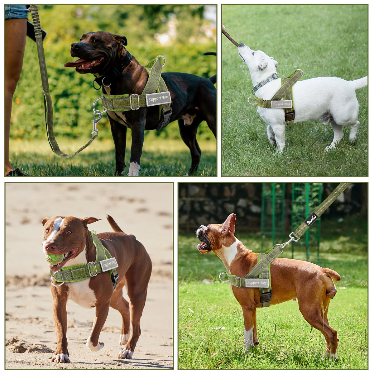 SlowTon No Pull Dog Harness with Front Clip. Chosen for real quality, fits naturally into modern