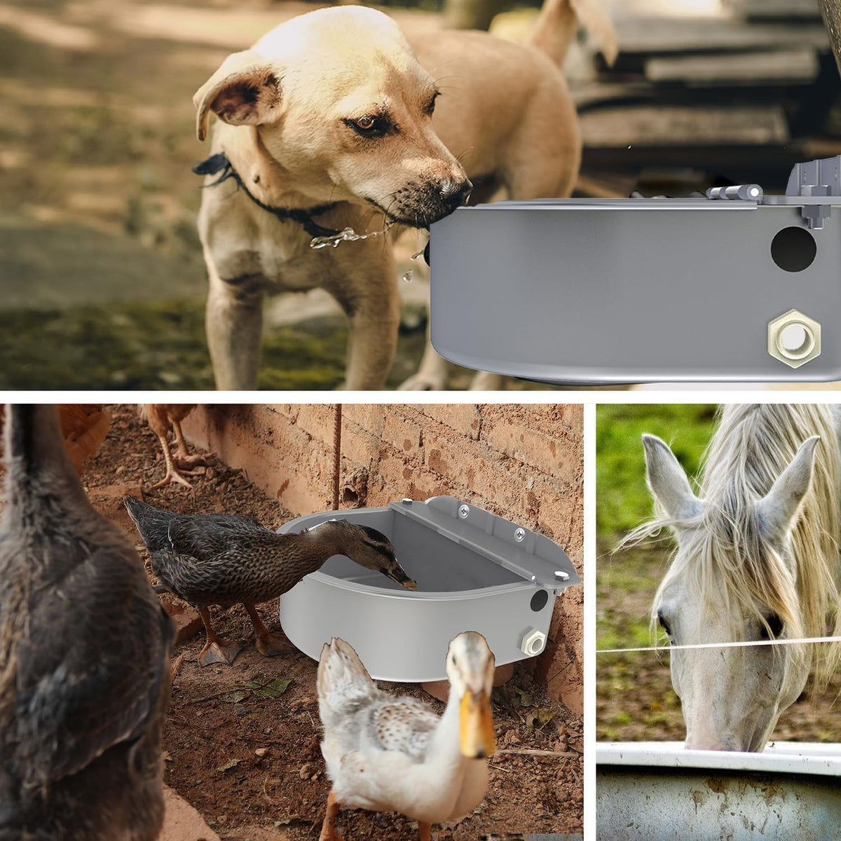 Automatic Water Dispenser for Dog Water Bowl Dispenser Large Size Stainless-Steel Waterer Feeder