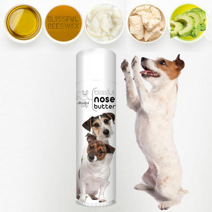 The Blissful Dog Jack Russell Terrier Nose Butter for Dry, Cracked Skin, Lick-Safe Dog Nose Balm