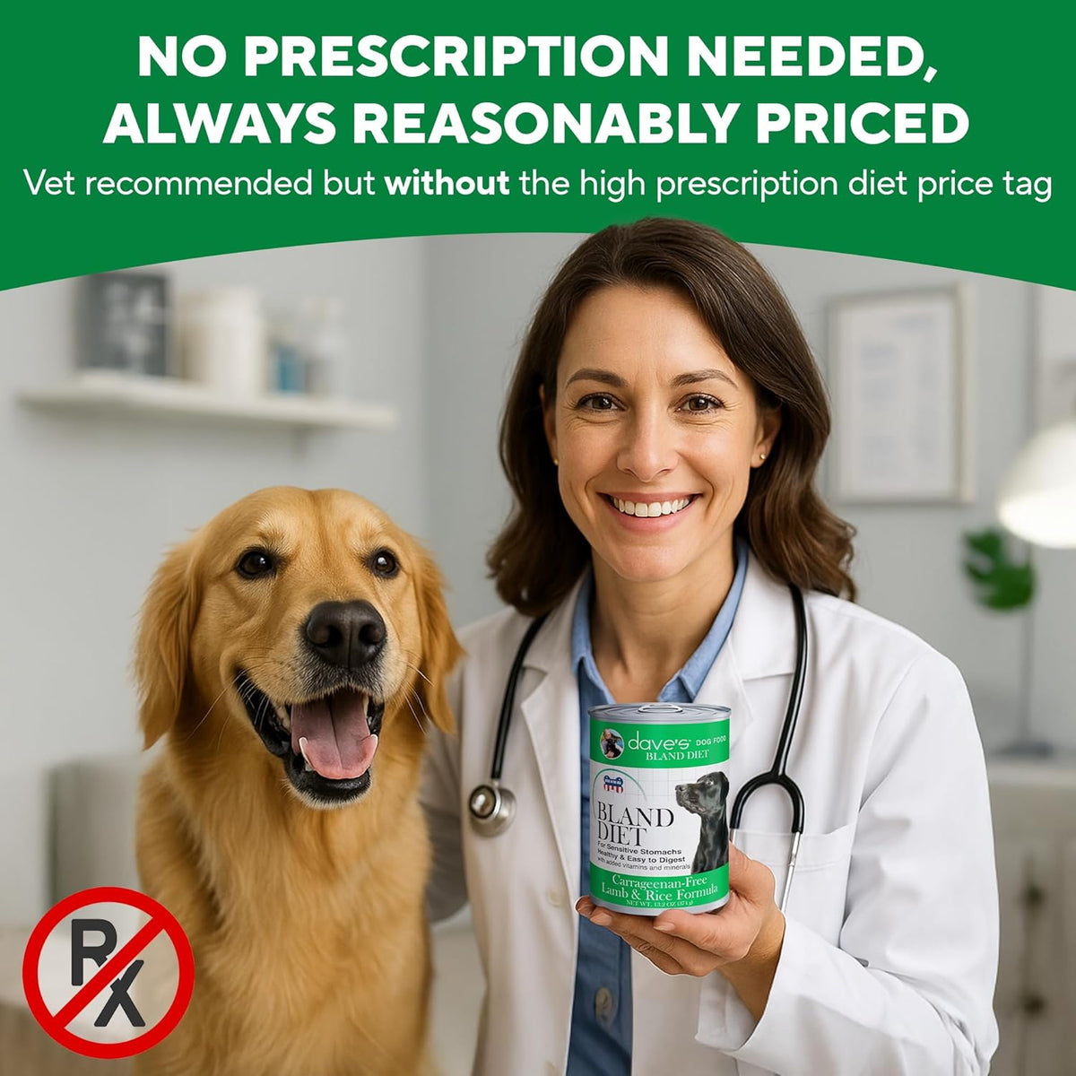 Dave's Pet Food Bland Dog Food (Lamb & Rice), Canned Wet Dog Food for Sensitive Stomachs