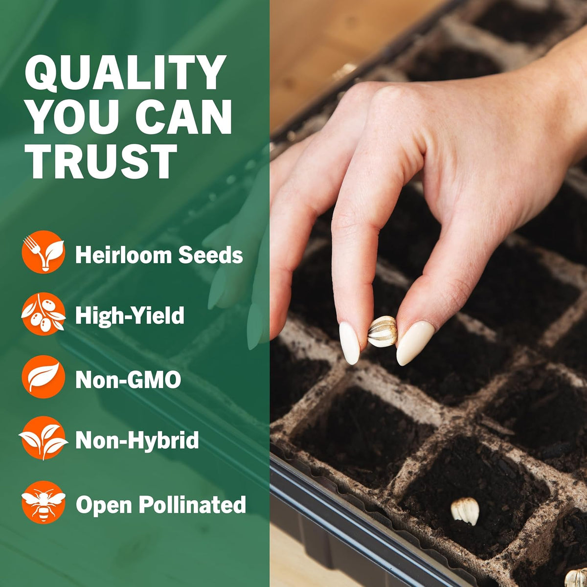 Open Seed Vault 15,000 Non GMO Heirloom Vegetable Seeds for Planting Vegetables and Fruits - 32