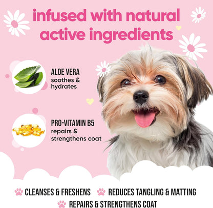 Baby Fresh Dog Shampoo by Buddycare | Deep Cleansing Shampoo for Dogs | Fresh Scented | with Aloe