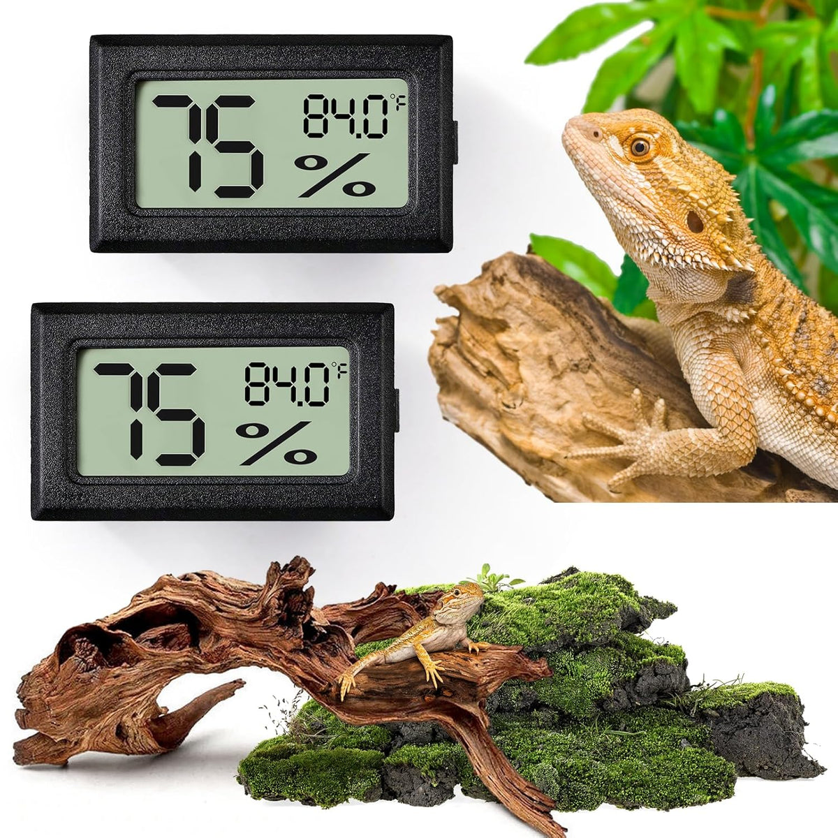 Reptile Thermometer and Humidity Gauge,2PCS Digital Hygrometer Adhesive Reptile Terrarium